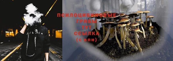 крисы Белокуриха