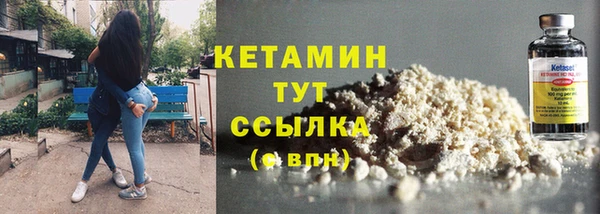 прущие грибы Приозерск