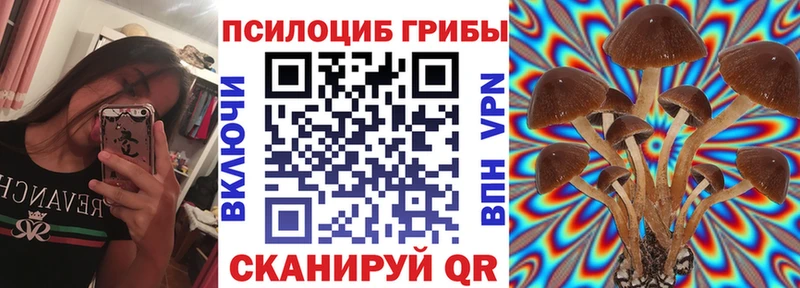 цена наркотик  MEGA вход  Псилоцибиновые грибы Psilocybe  Новая Ладога 