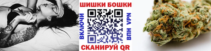 Бошки марихуана семена  Новая Ладога 